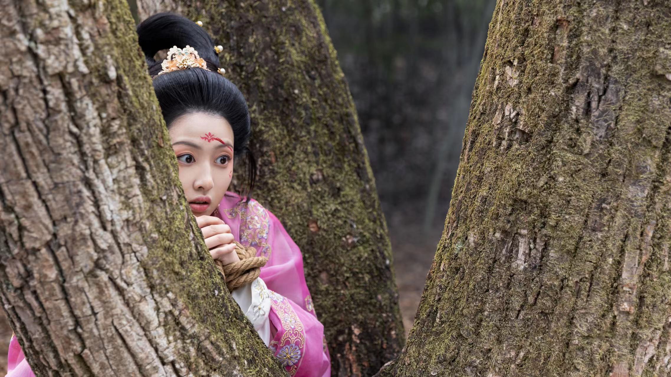 花琉璃轶闻苏梦芸演技获赞全方位展现角色驾驭力