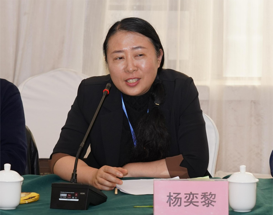 东方华夏文化遗产保护中心理事长杨奕黎讲话北京故宫博物院古建修缮