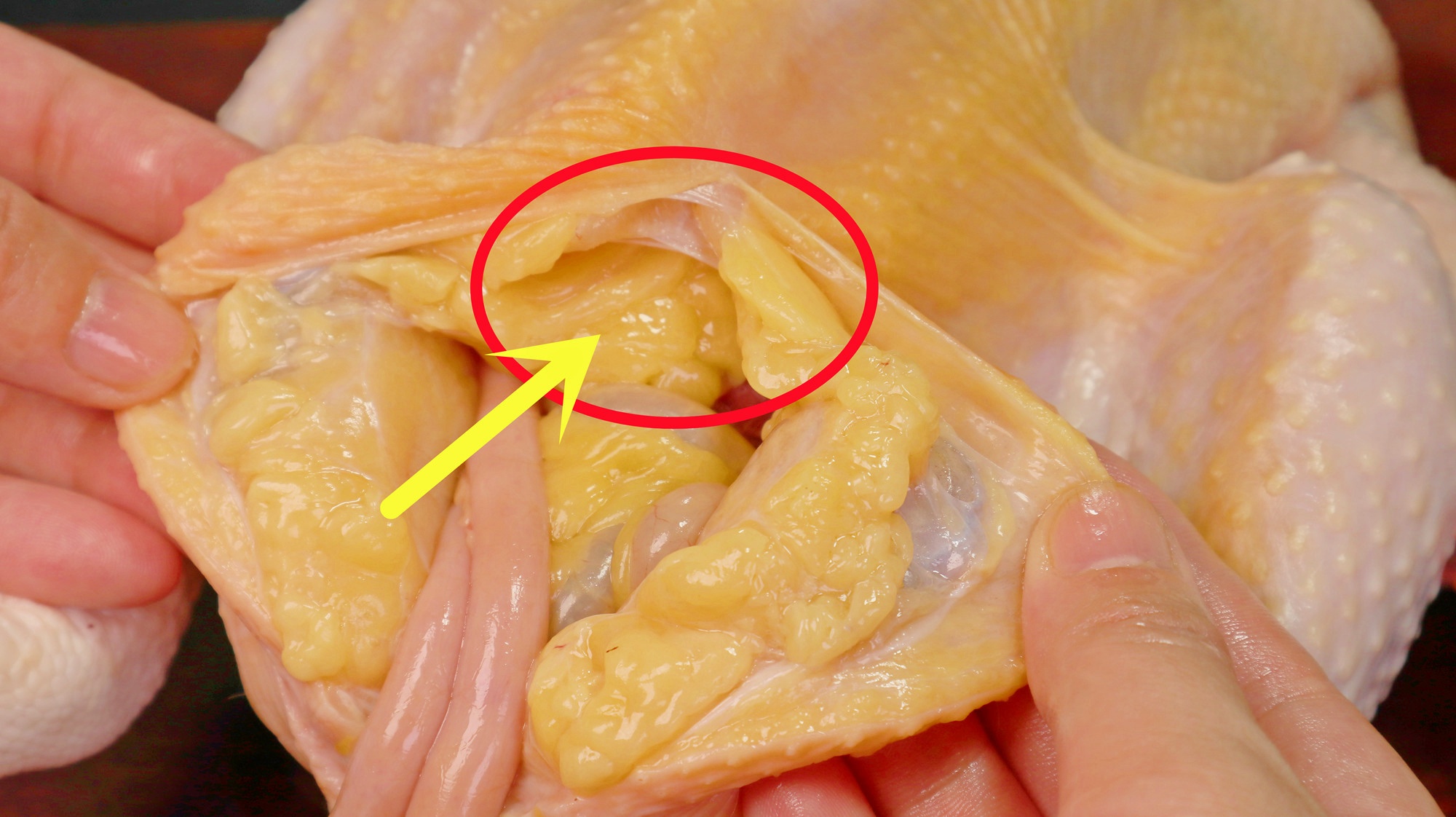 鸡黄油越多代表鸡的品质越好 鸡肚子里黄油的多少与什么有关_见文_第